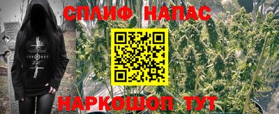 mdpv Можайск