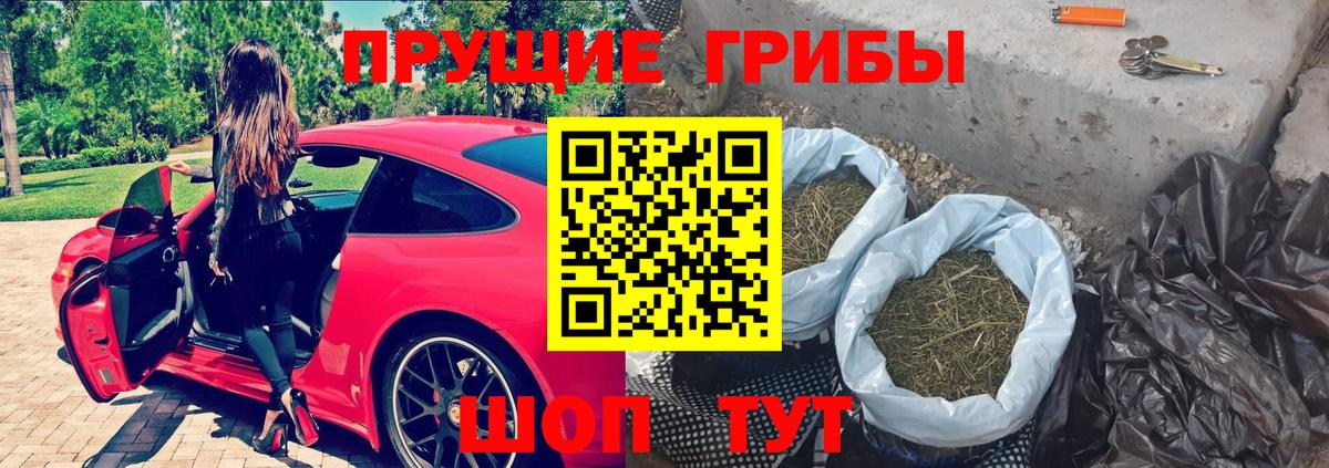 Галлюциногенные грибы мицелий Химки